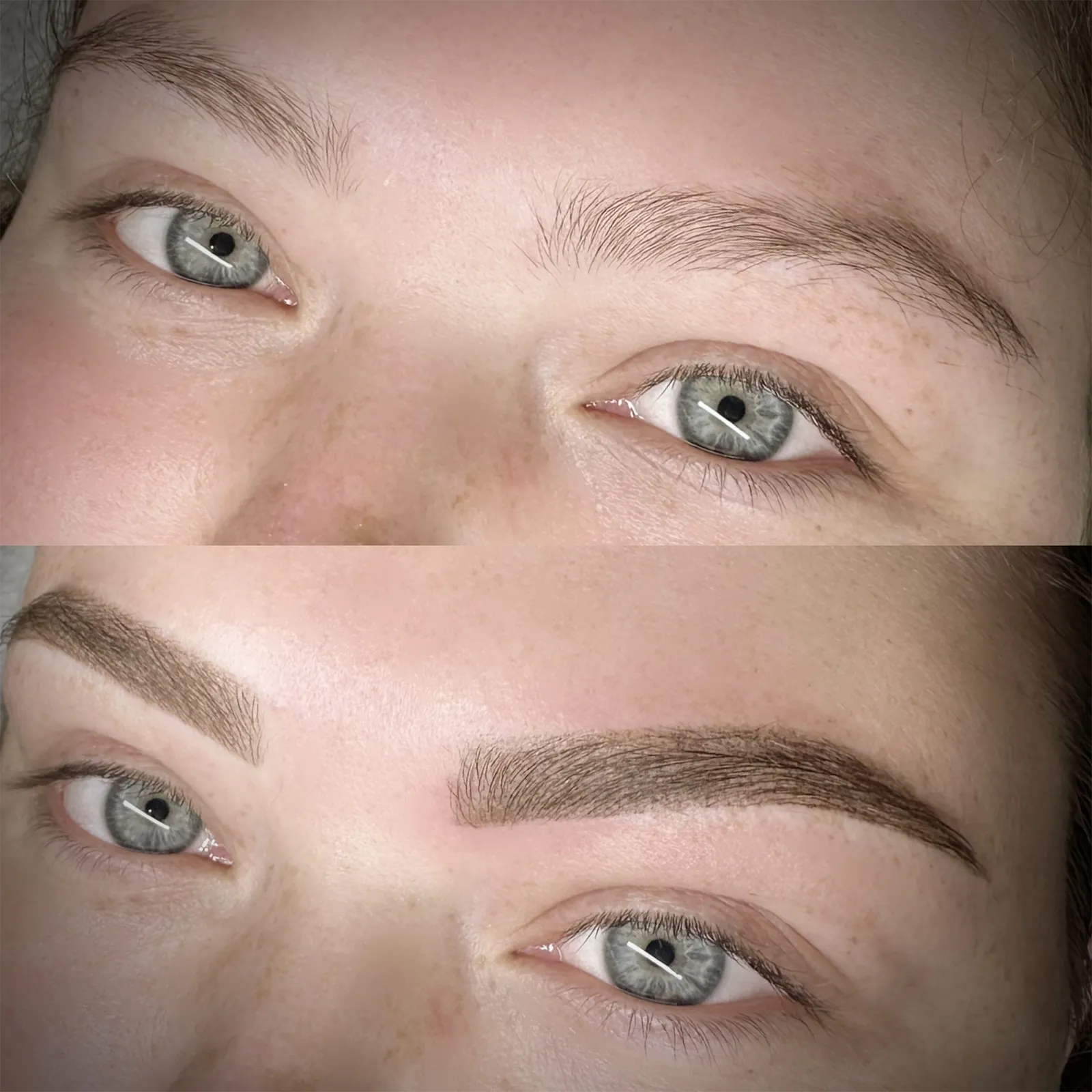 Before after Colonna Signature 012 Eyebrow before and after results at Colonna Signature